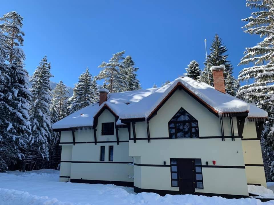 Berghof Eva - Hotel Panichishte Eksteriør billede