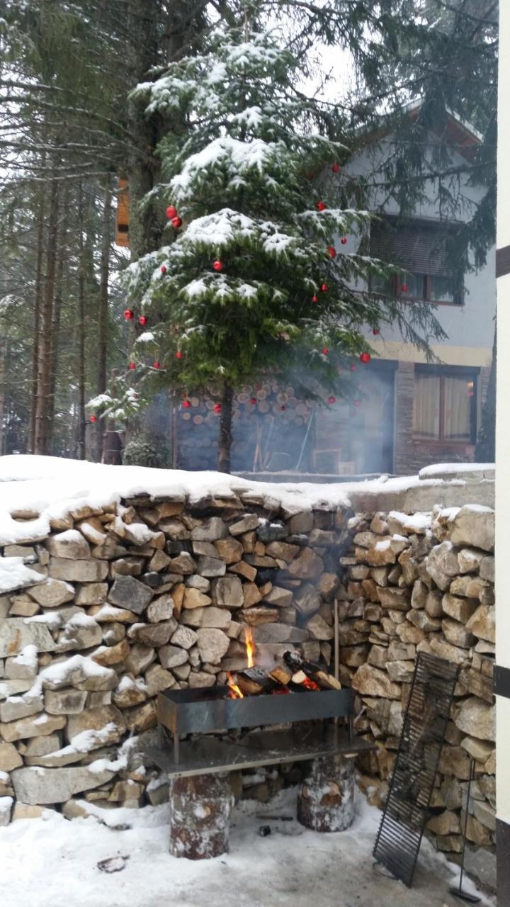 Berghof Eva - Hotel Panichishte Eksteriør billede